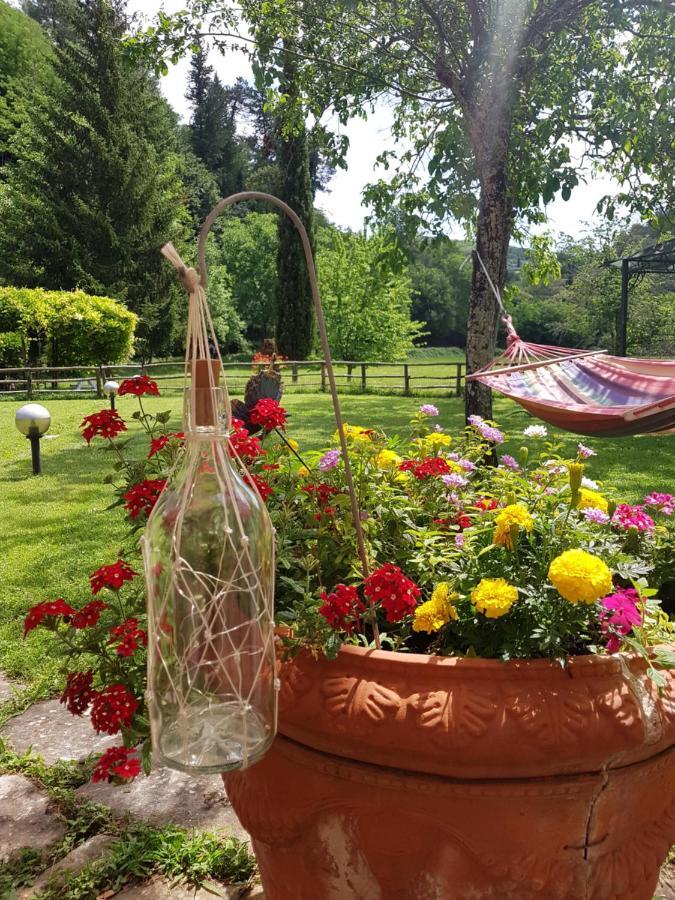 Апартаменти La Casa Nel Chianti Греве-ін-К'янті Екстер'єр фото