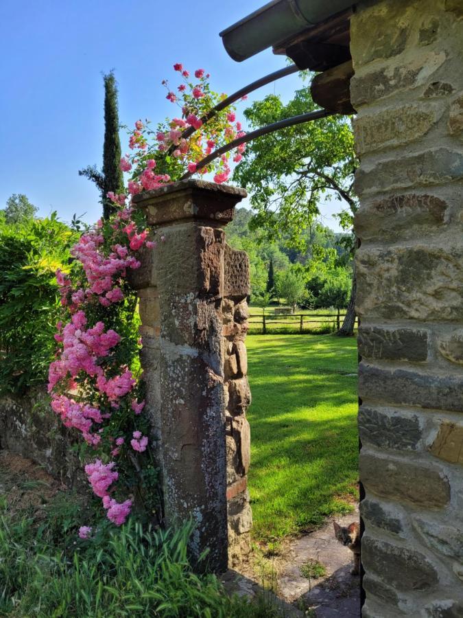 Апартаменти La Casa Nel Chianti Греве-ін-К'янті Екстер'єр фото