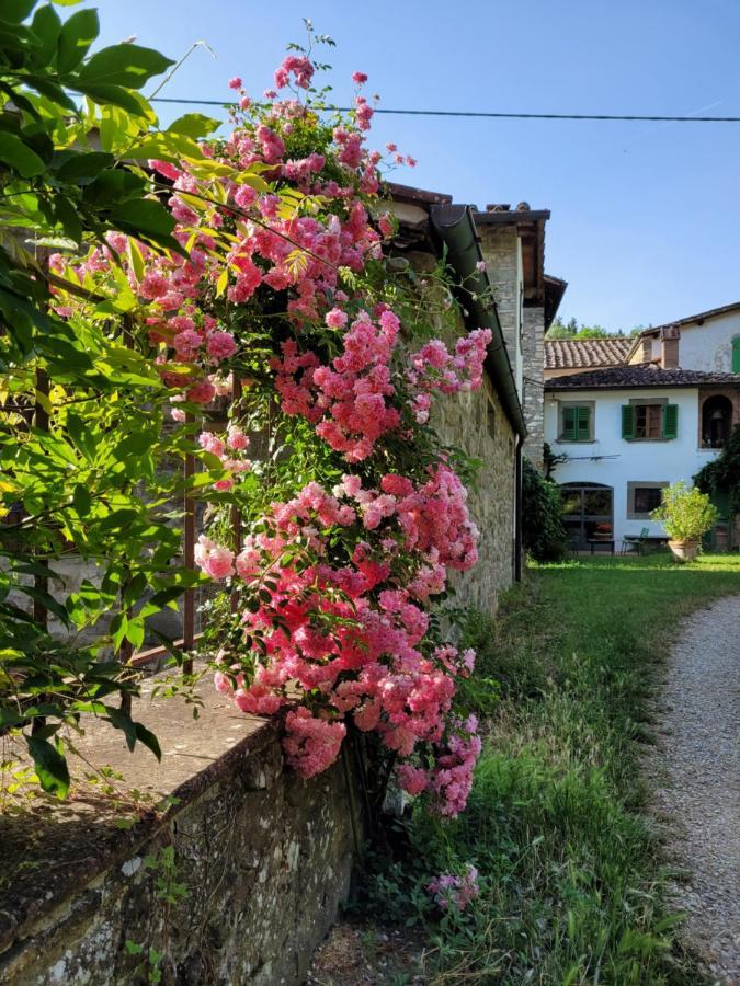 Апартаменти La Casa Nel Chianti Греве-ін-К'янті Екстер'єр фото