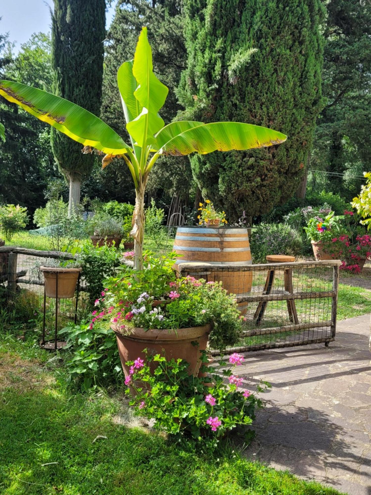 Апартаменти La Casa Nel Chianti Греве-ін-К'янті Екстер'єр фото