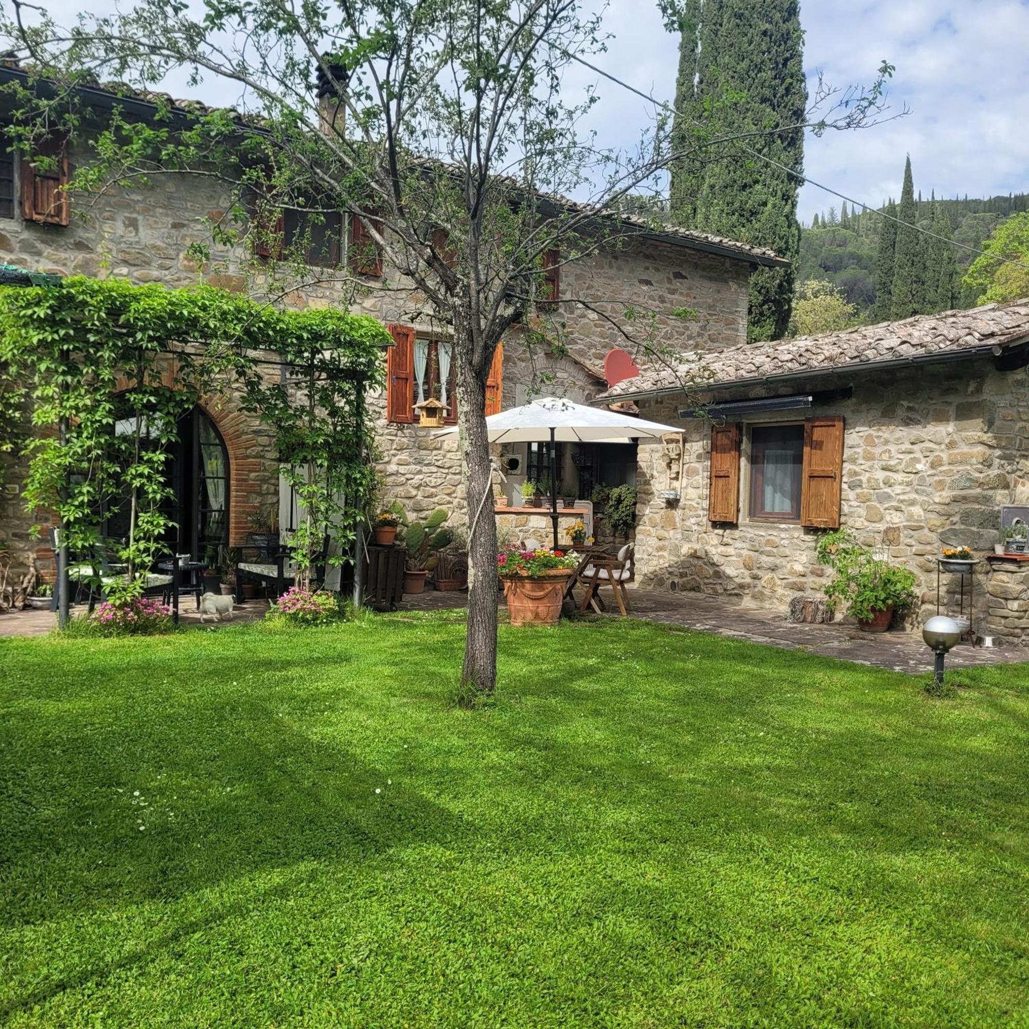 Апартаменти La Casa Nel Chianti Греве-ін-К'янті Екстер'єр фото